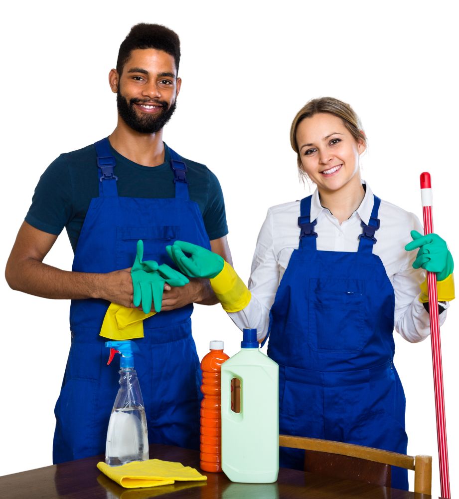 Profession Cleaning Service